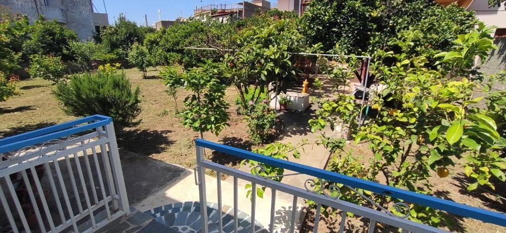 Μονοπάτι ανάμεσα στα δέντρα του κήπου