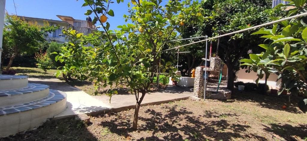 Γωνιά του κήπου με ρούχα να στεγνώνουν στον ήλιο